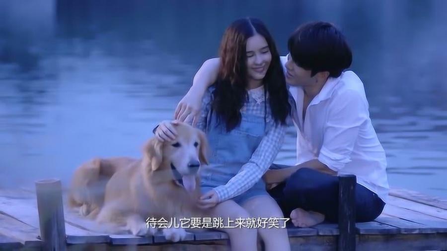 小猫钓鱼开船版最新版下载