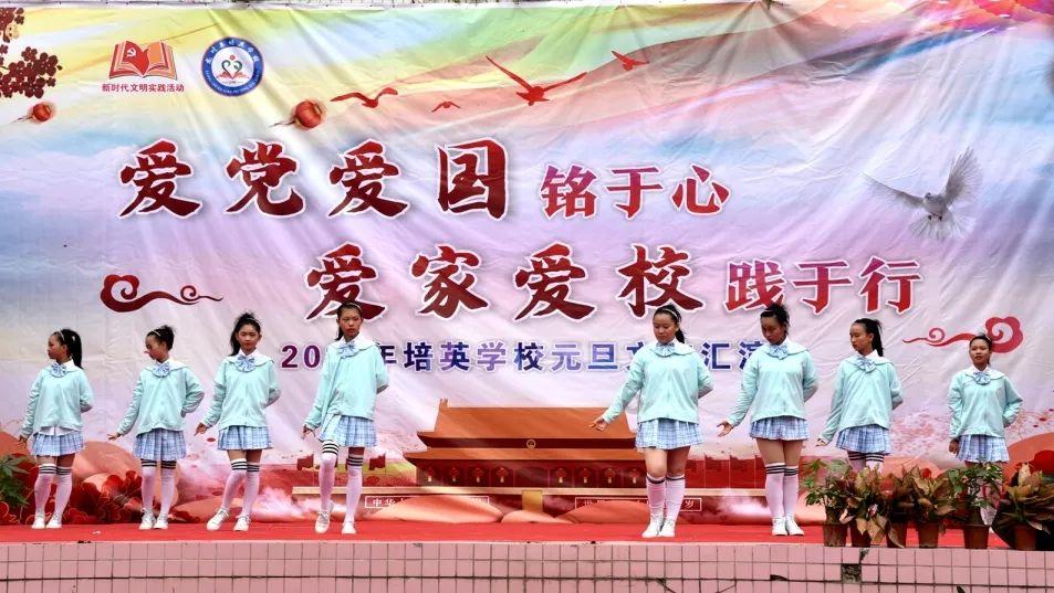 解疑答惑,畅享养了五个月的猫可以送人吗?有问必答平台!