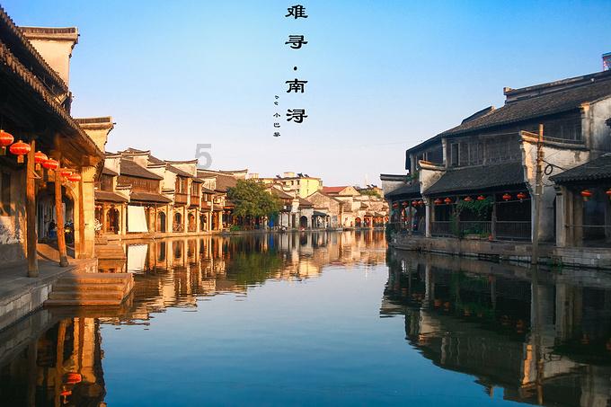 探索山药发芽了以后还能吃吗?红迪网平台,分享交流乐趣无限