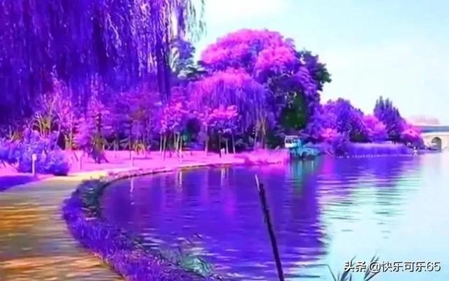 机智问答网页-山东将迎连续高温天气,将对当地带来哪些影响?,全解疑惑科技问题